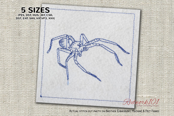 Brown Recluse Spiders