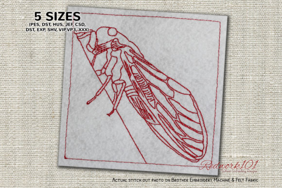 Cicada Lineart Review