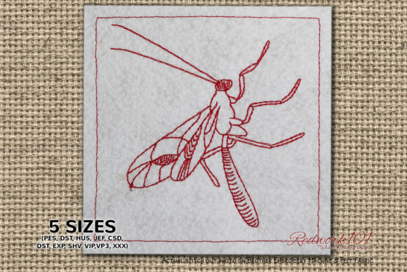 Ichneumonidae Embroidery Review