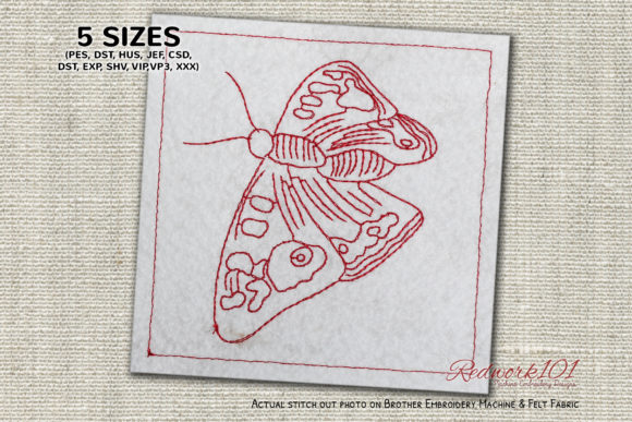 Lepidoptera Lineart Review