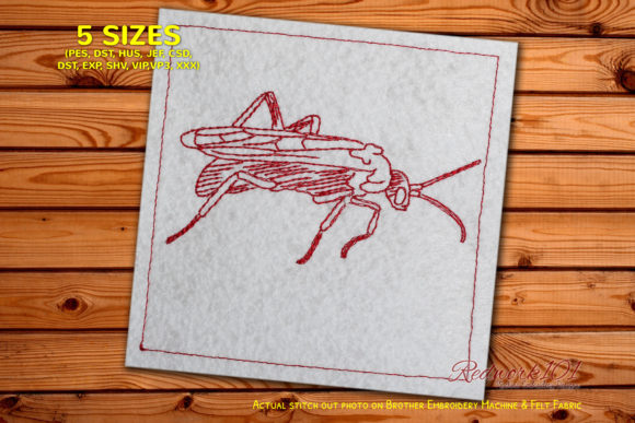 Tarantula Hawk Lineart Review