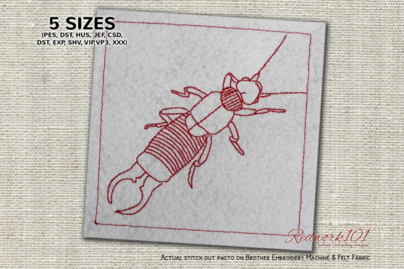 Wild Earwig Lineart Review
